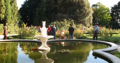 Экскурсия из Ялты: Никитский ботанический сад - Царство богини Флоры фото 5777