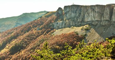 Экскурсии в Крымский природный заповедник из Отрадного 2022