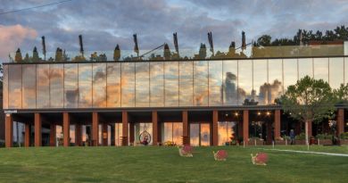 Визуальное знакомство с локацией: Агрофирма "Золотая Балка"