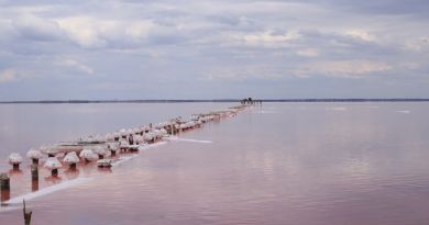Экскурсии в Озеро Сасык-Сиваш (розовое озеро) из Отрадного 2024
