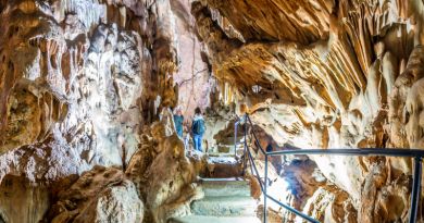 Экскурсии в Скельская пещера из Отрадного 2024