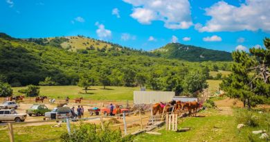 Авто-пешеходная экскурсия из Ялты (фото 5)
